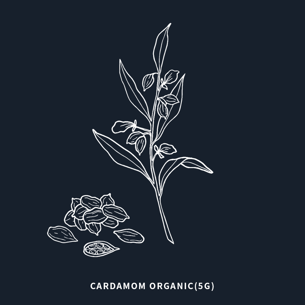 有機小荳蔻 | Cardamom Organic | 5ml