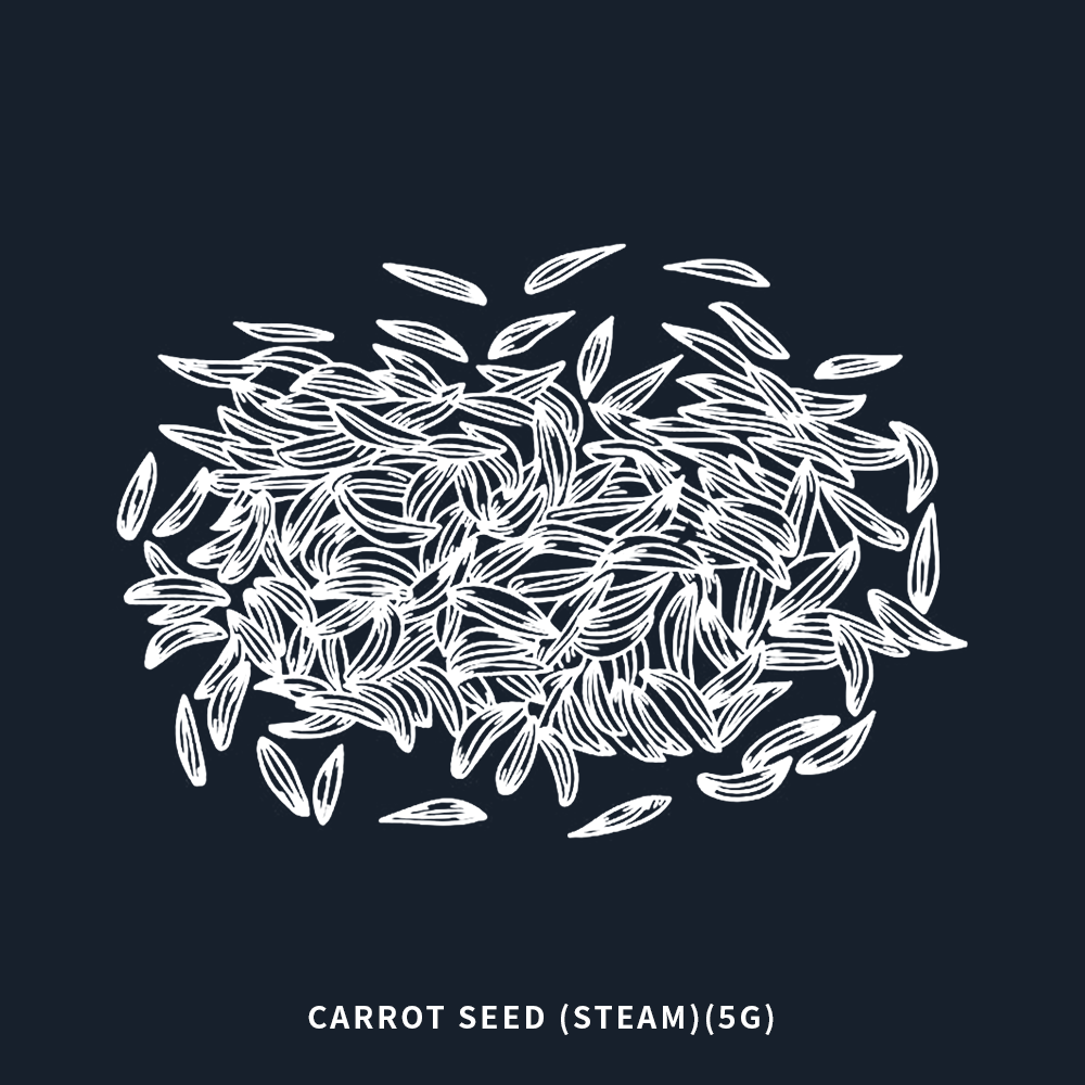 胡蘿蔔籽 | Carrot Seed