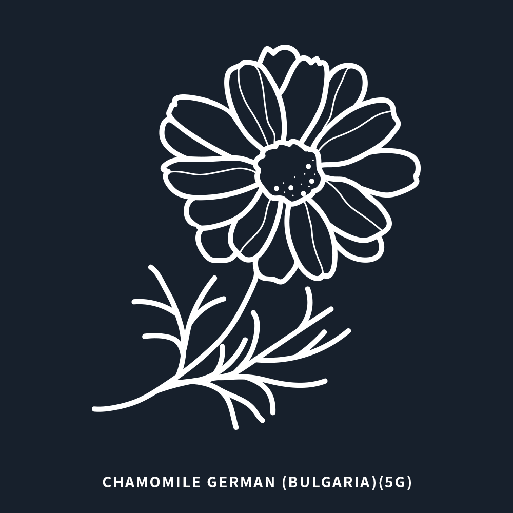 德國洋甘菊 | German Chamomile | 5ml