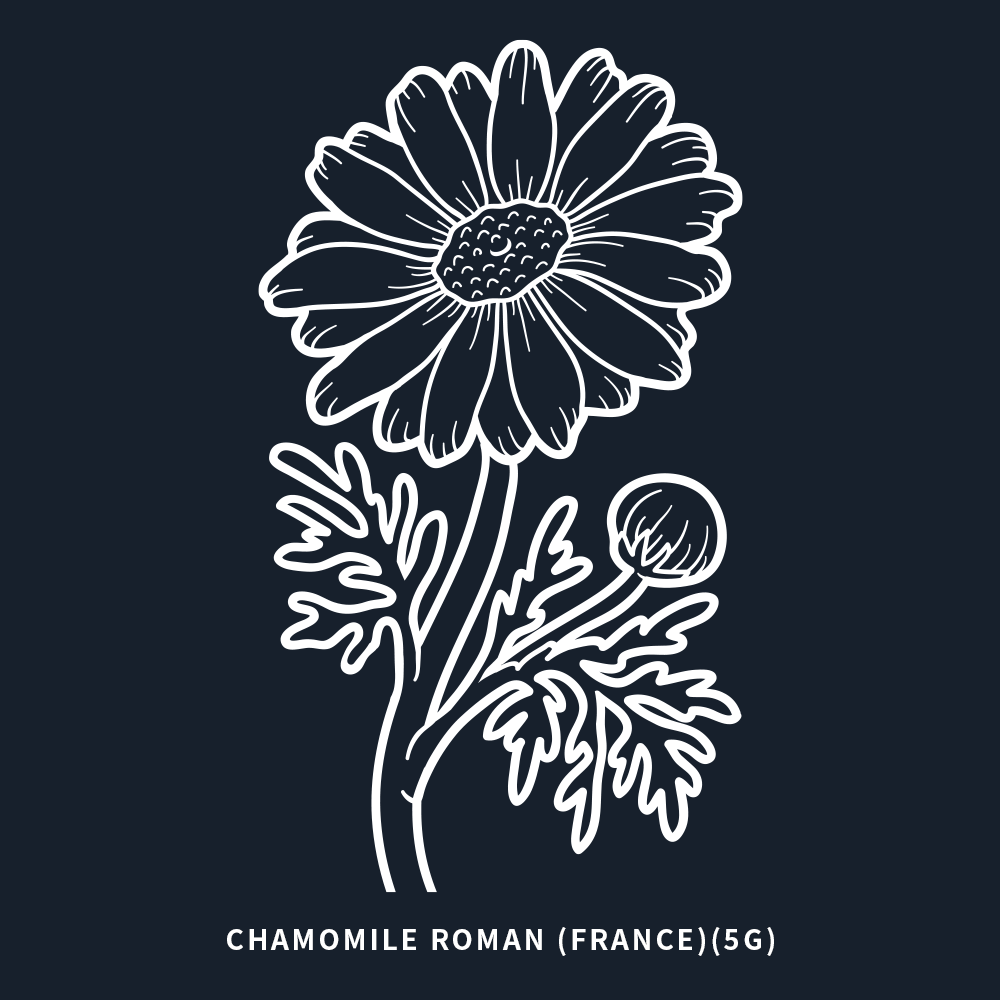 羅馬洋甘菊 | Roman Chamomile | 5ml
