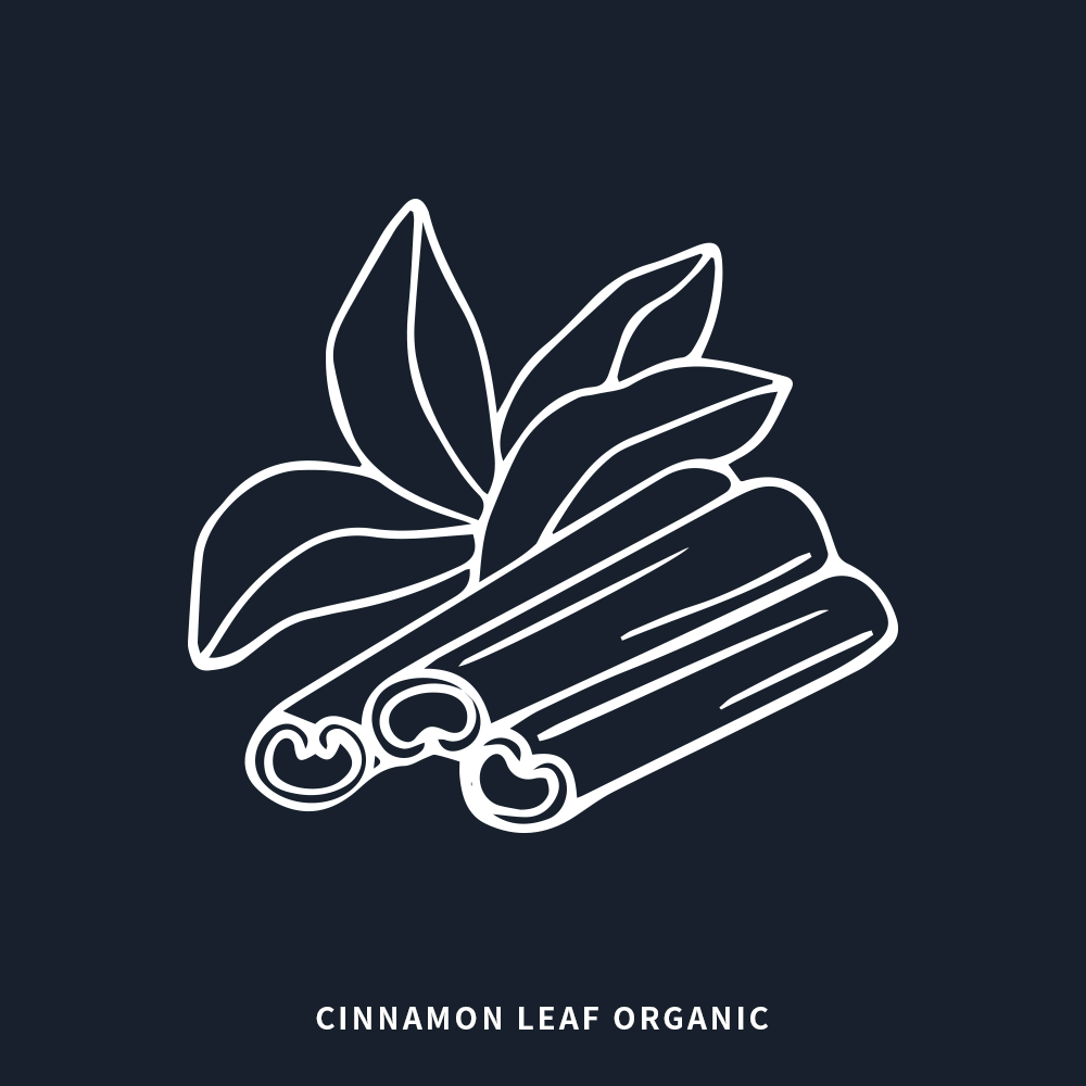 有機肉桂葉 | Cinnamon Leaf Organic