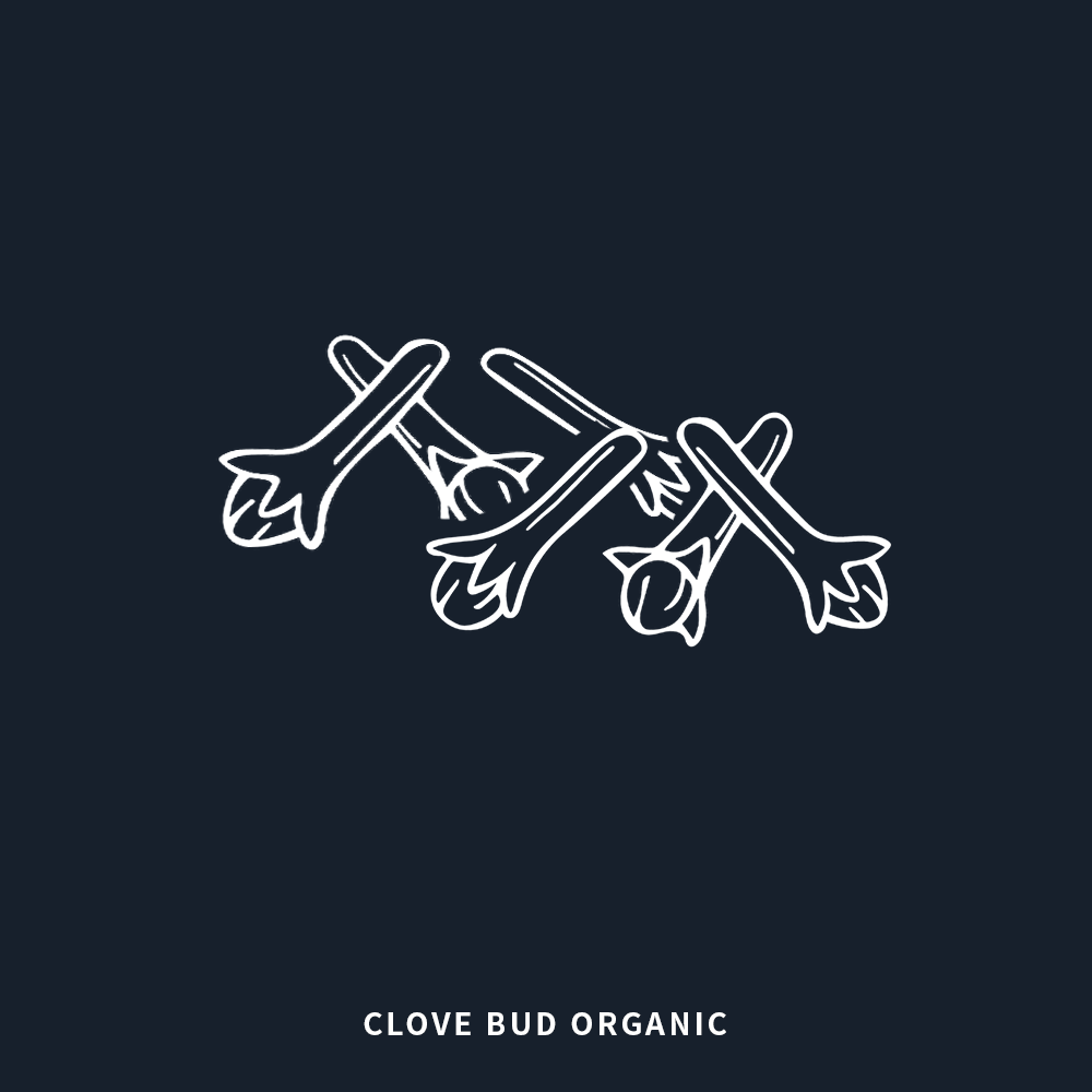 有機丁香 | Clove Bud Organic