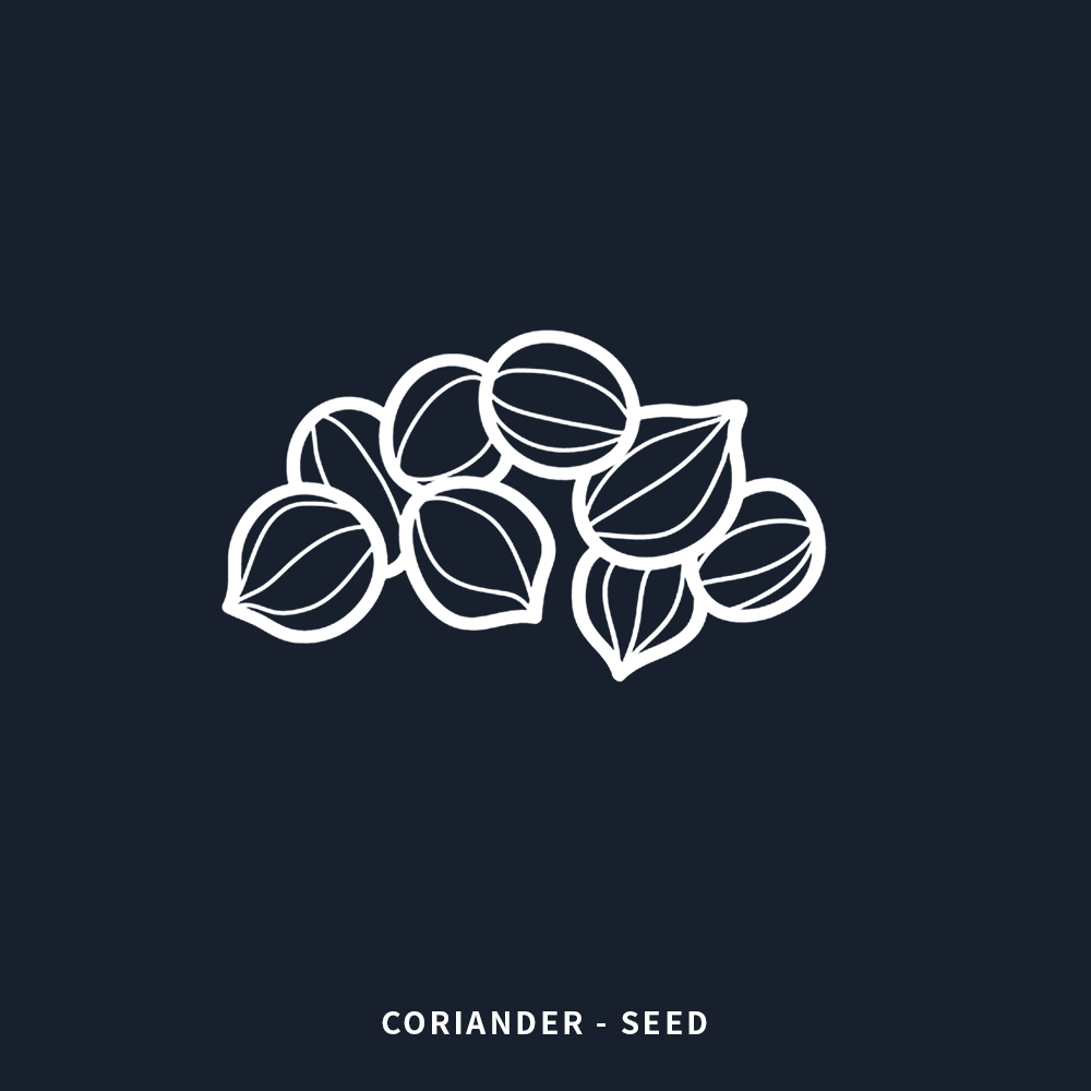 芫荽籽 | Coriander Seed