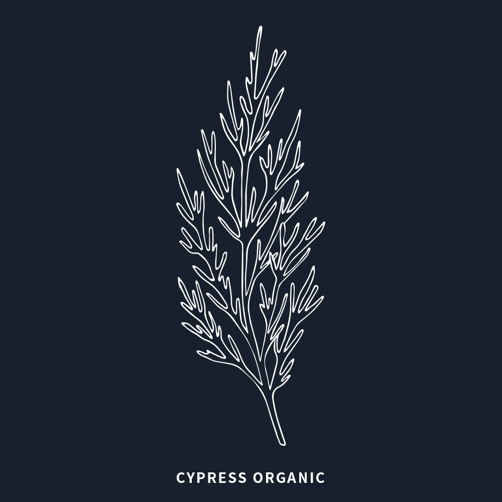 有機絲柏 | Cypress Organic