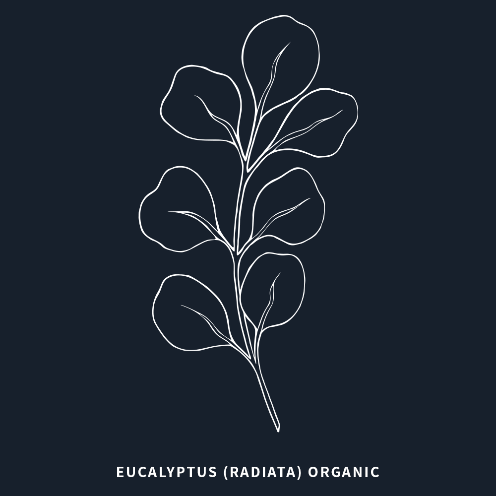 有機尤加利 | Radiata Eucalyptus Organic
