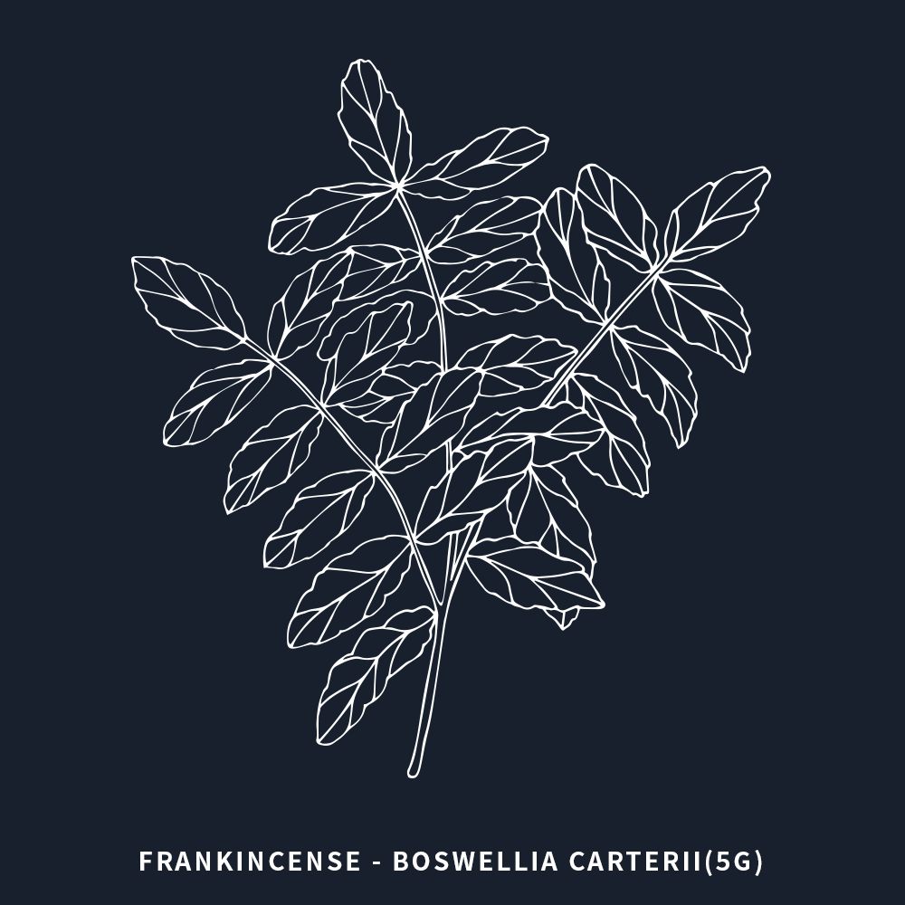 乳香 | Frankincense (Boswellia carterii) | 5ml