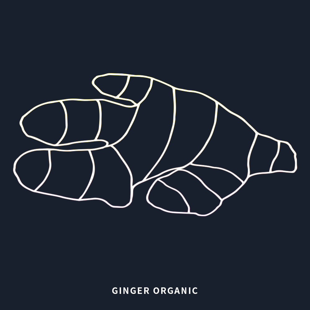 有機薑 | Ginger Organic