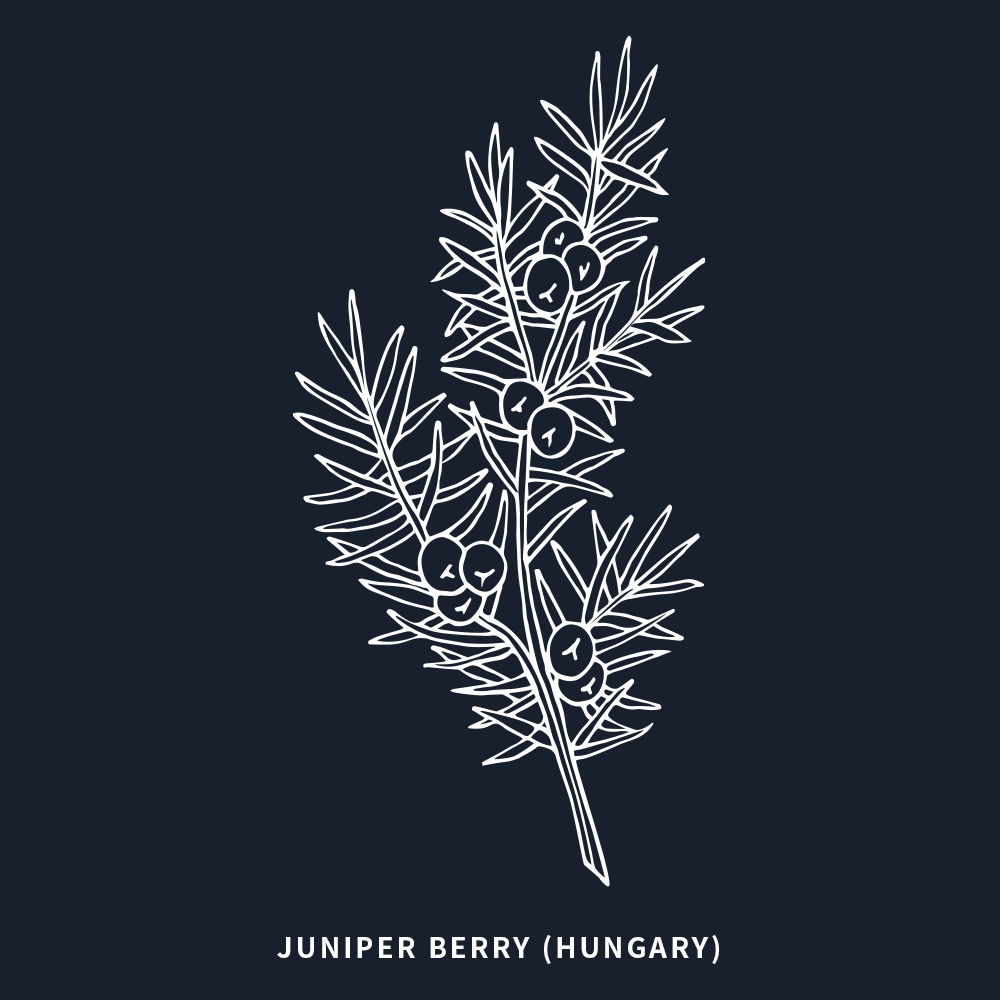 杜松漿果 | Juniper Berry