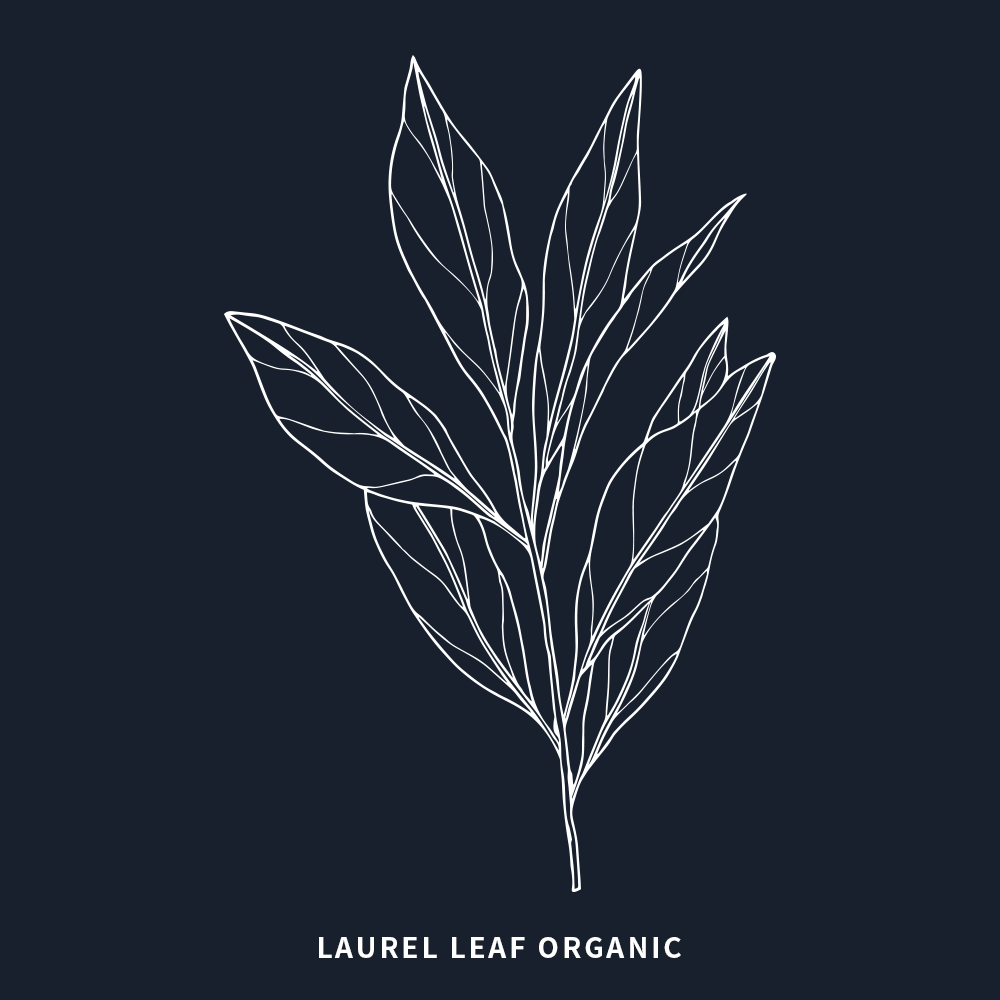 有機月桂葉 | Laurel Leaf Organic