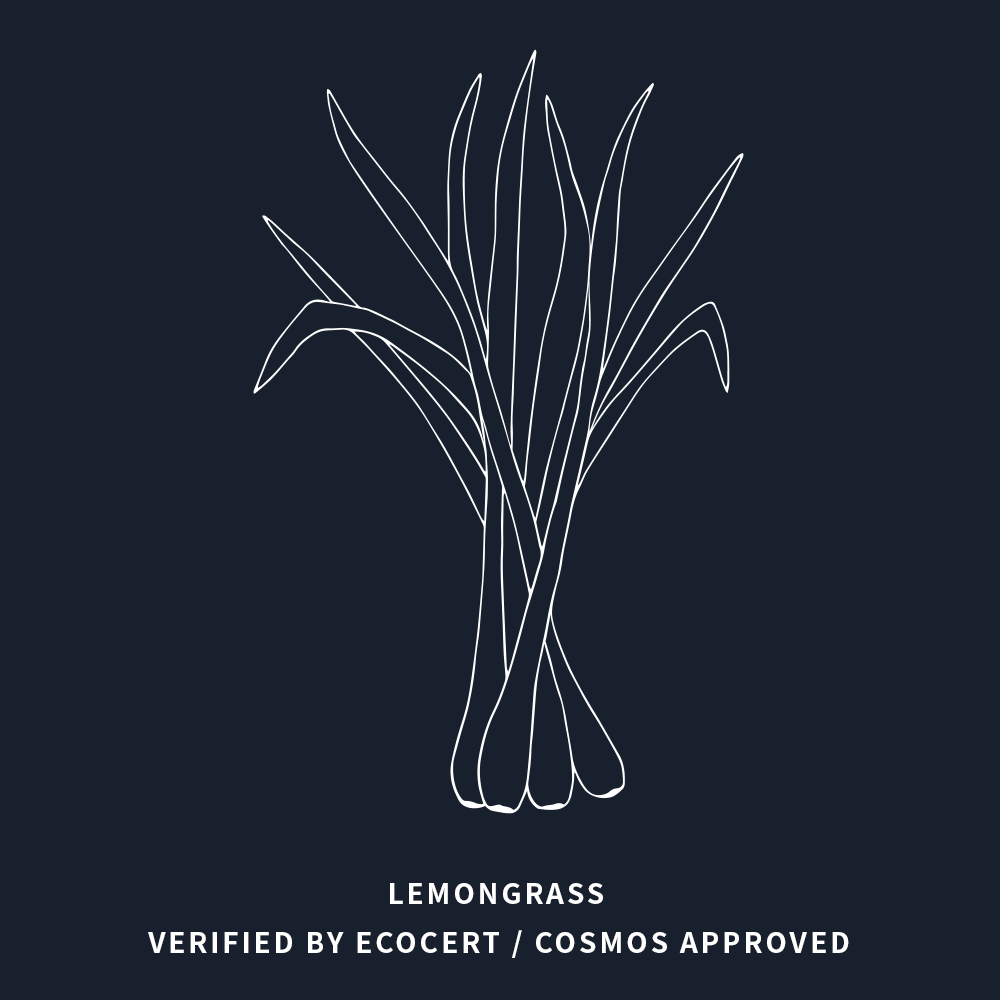 檸檬葉 | Lemongrass