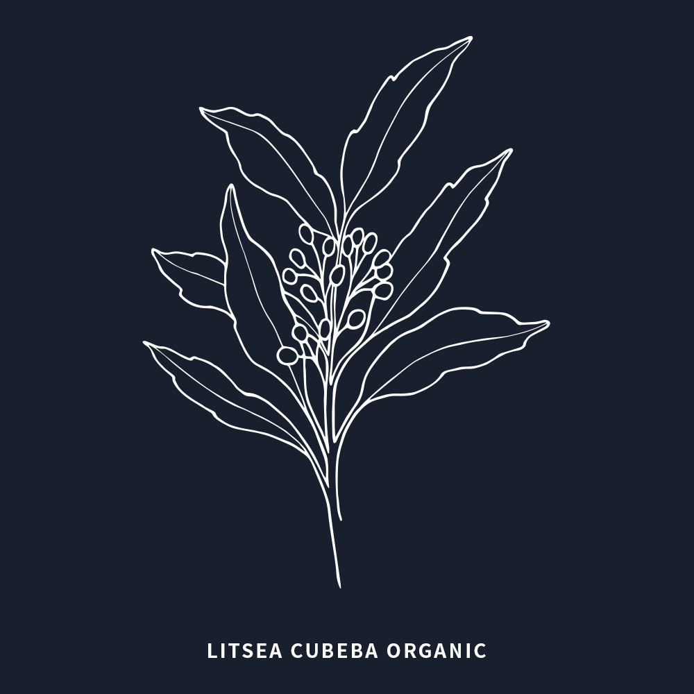 有機山雞椒 | Litsea Cubeba Organic