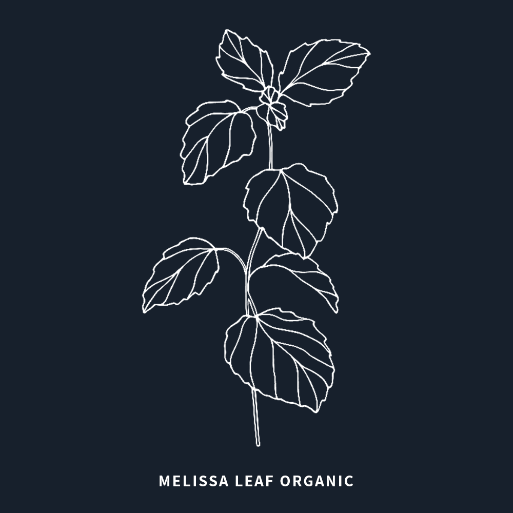 有機香蜂草 | Melissa Leaf Organic