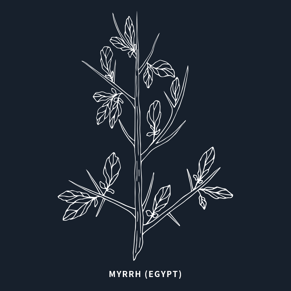 沒藥 | Myrrh | 5ml