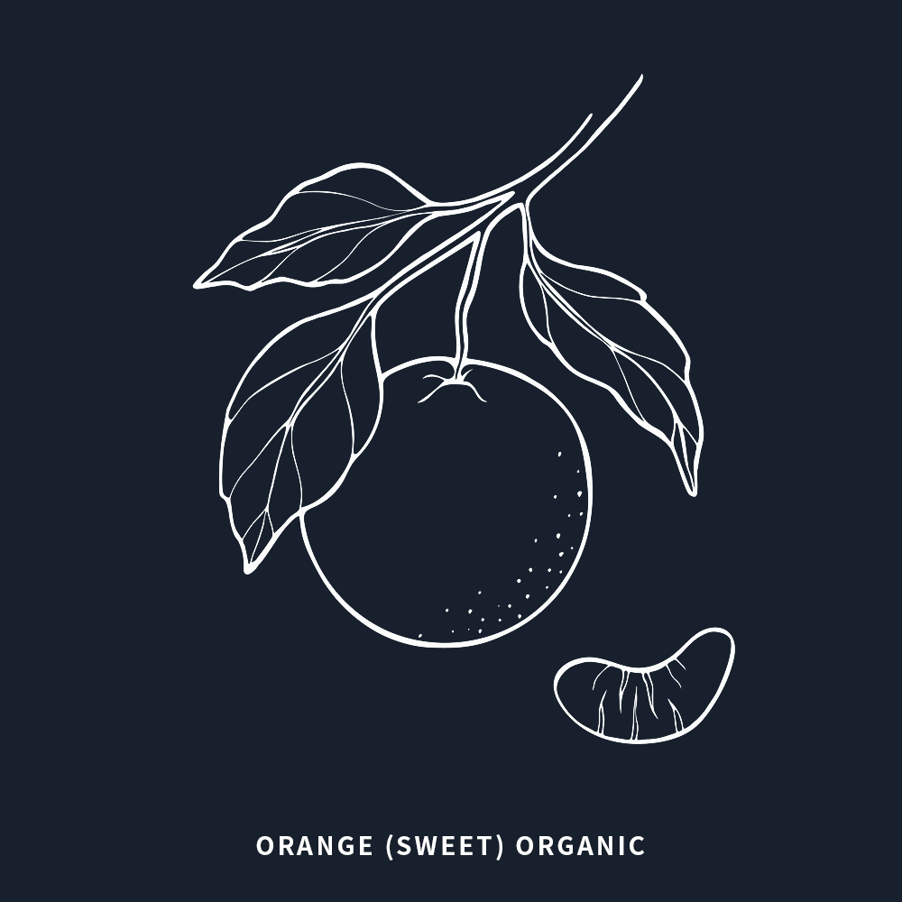 有機甜橙 | Sweet Orange Organic
