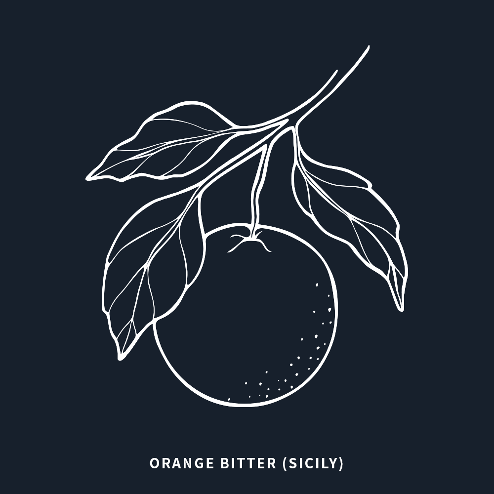 苦橙 | Bitter Orange