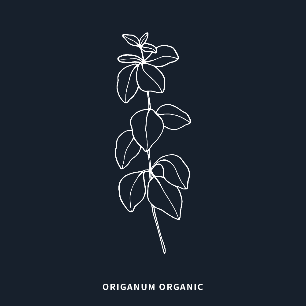 有機牛至 | Origanum Organic