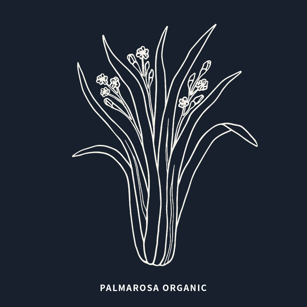 有機玫瑰草 | Palmarosa Organic