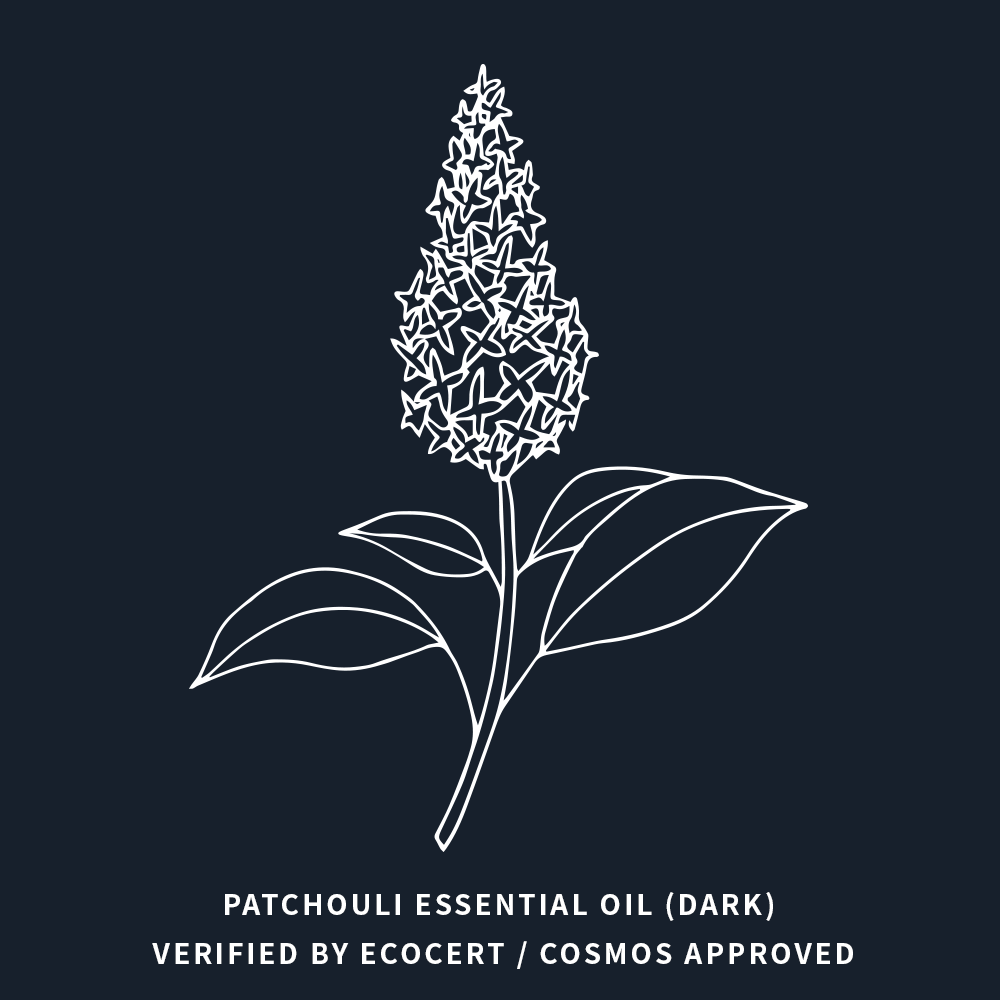 廣霍香 | Patchouli (Dark)