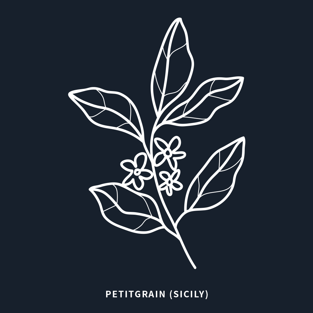 苦橙葉 | Petitgrain