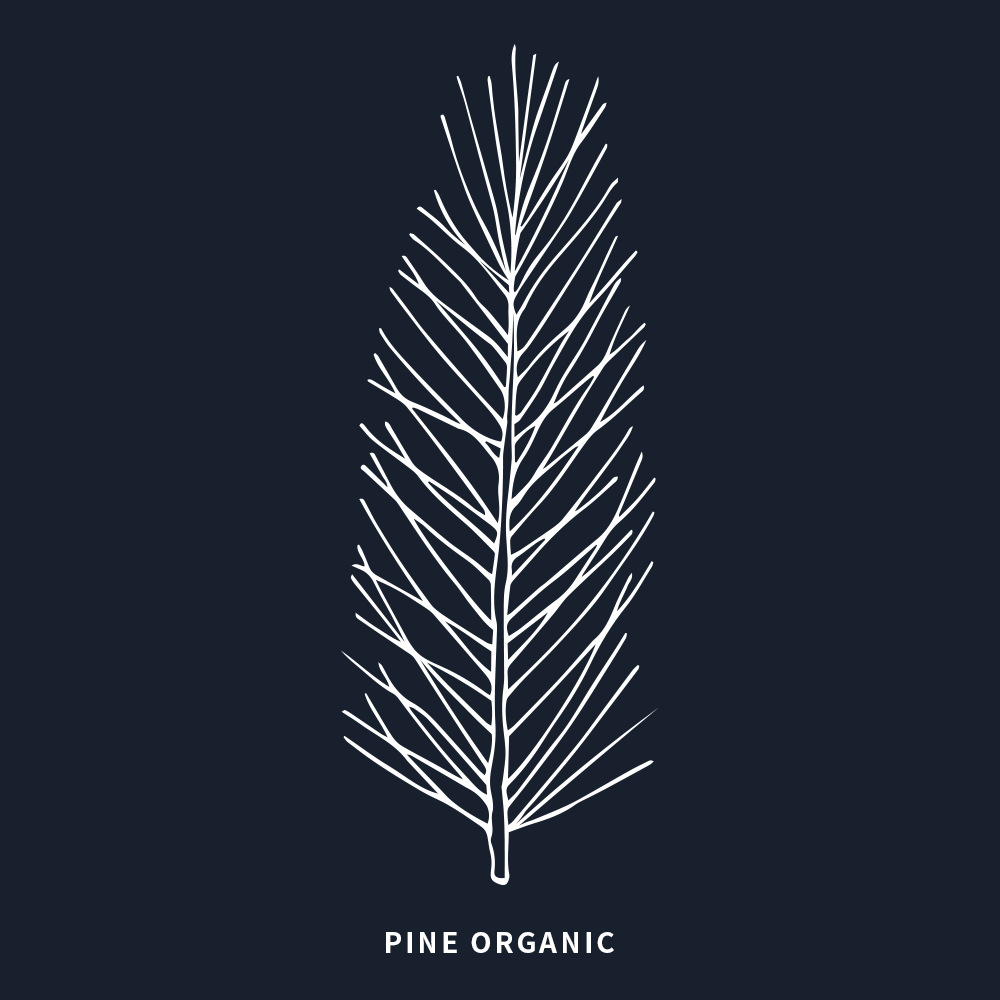 有機松樹 | Pine Organic