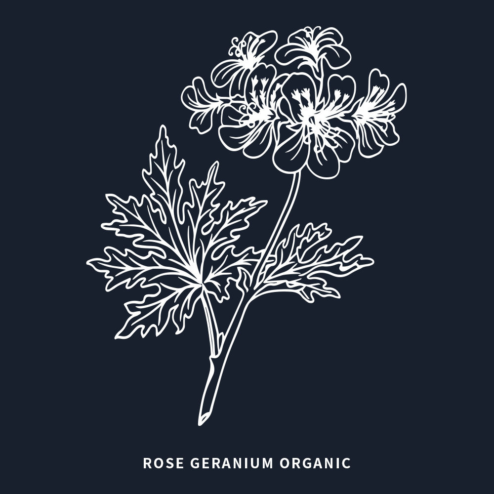 有機玫瑰天竺葵 | Rose Geranium Organic | 5ml