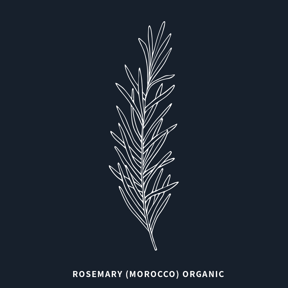 有機迷迭香 | Rosemary Organic
