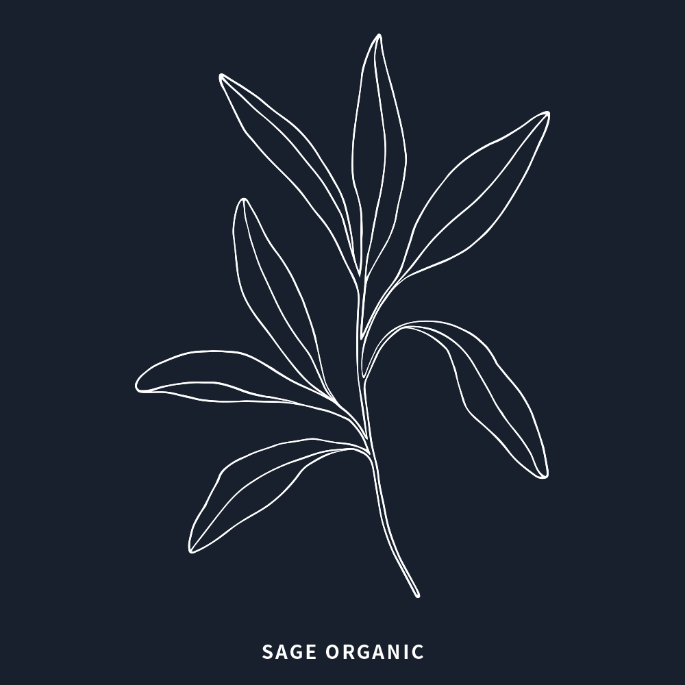 有機鼠尾草 | Sage Organic