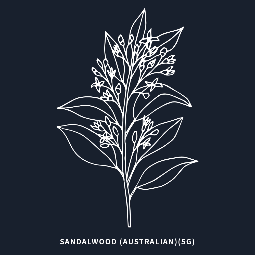 澳洲檀香 | Australian Sandalwood