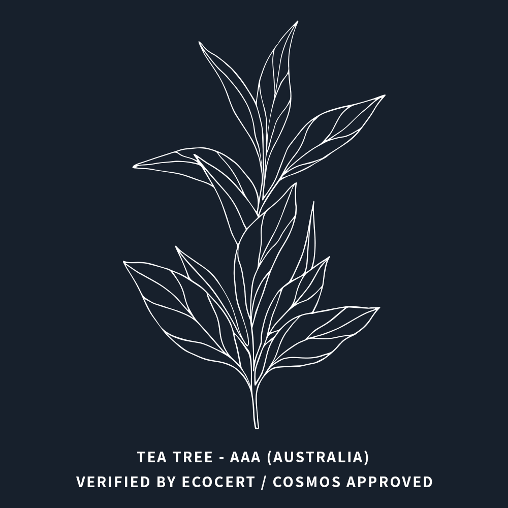 特級茶樹 | Tea Tree AAA