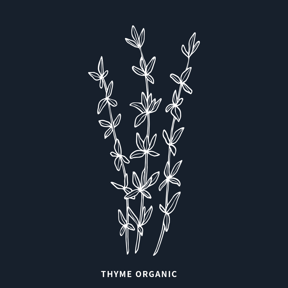 有機百里香 | Thyme Organic