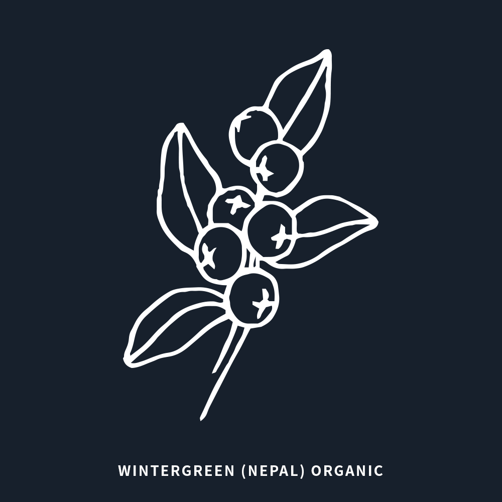 有機冬青 | Wintergreen Organic