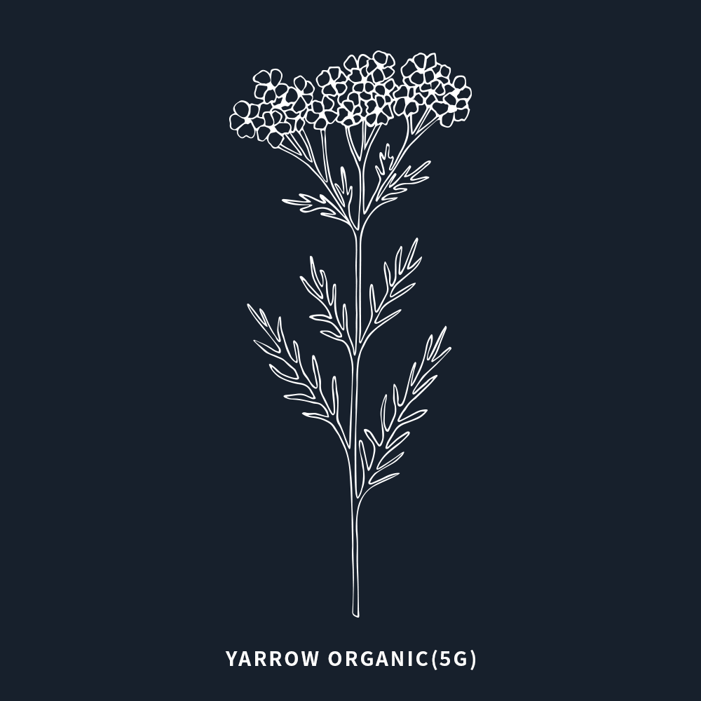 有機西洋蓍草 | Yarrow Organic | 5ml