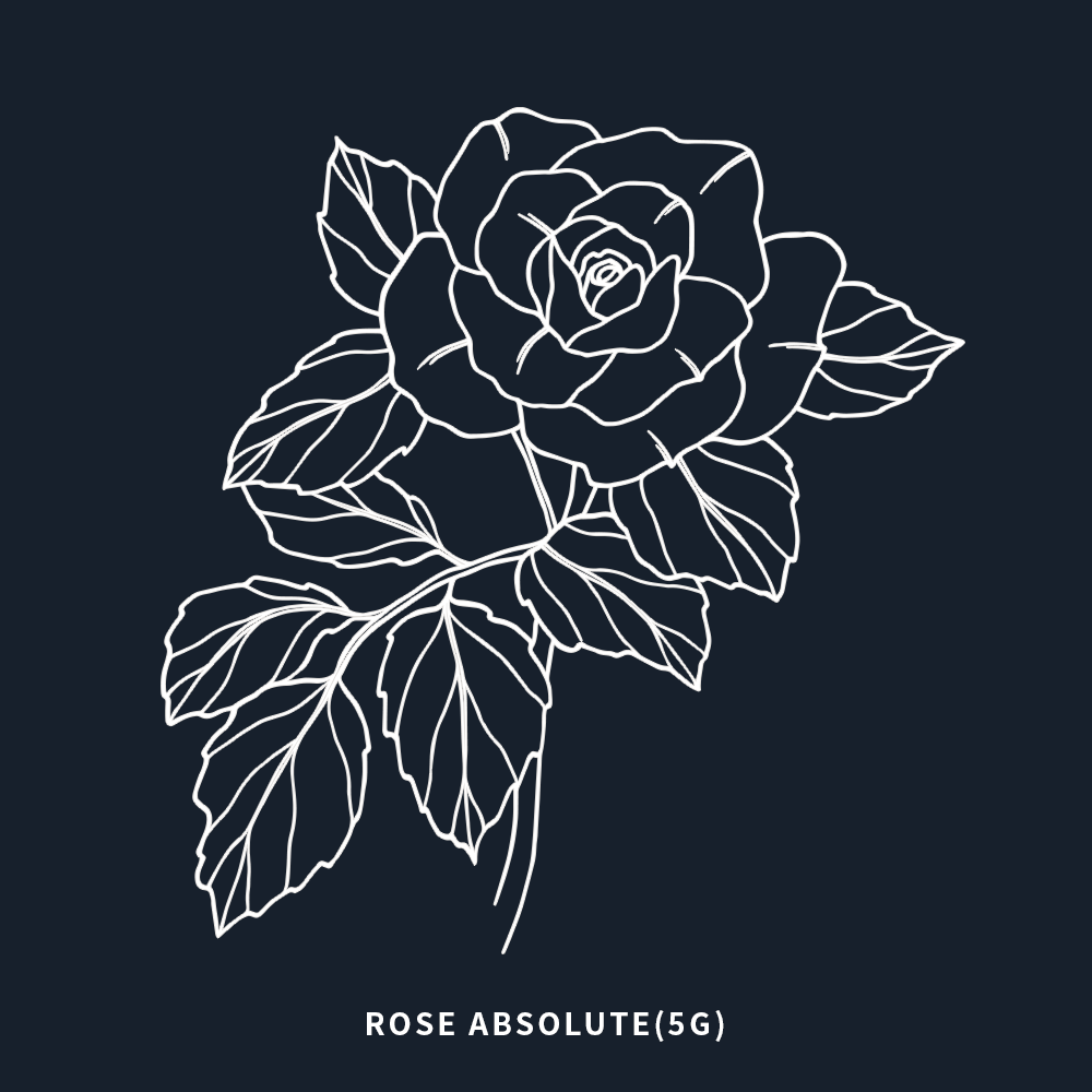 保加利亞玫瑰 | Rose Absolute | 5ml