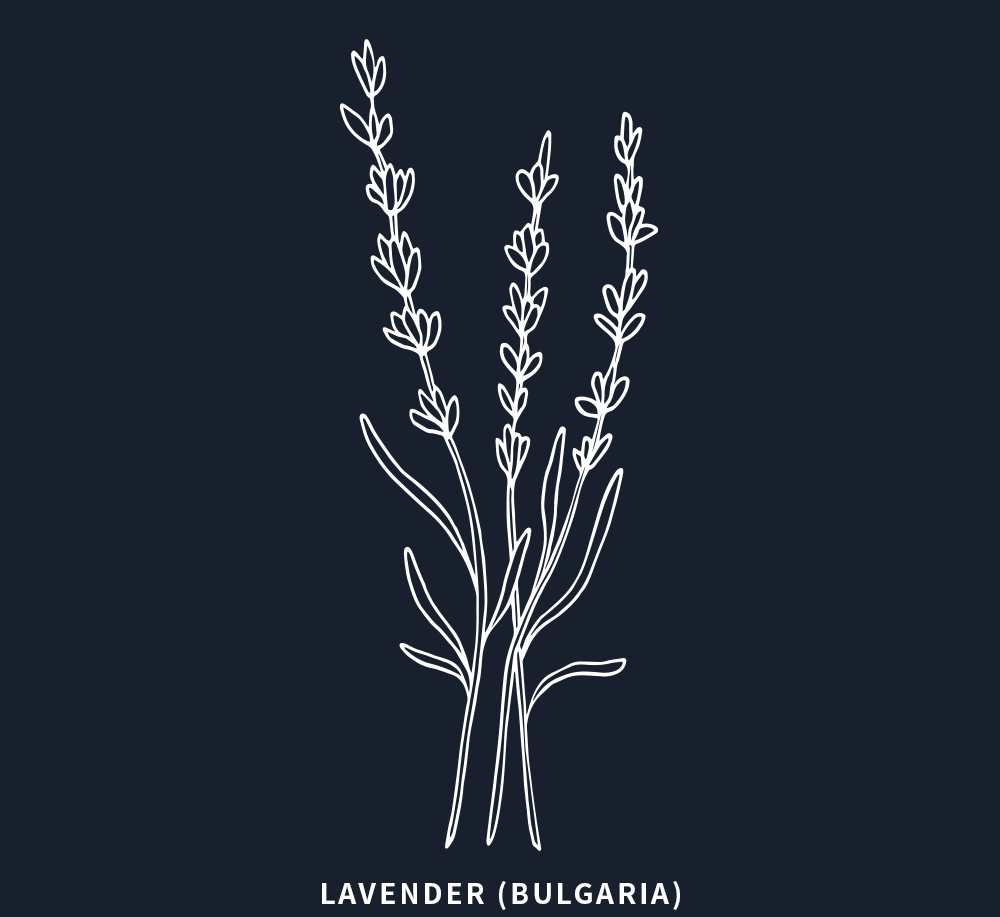 薰衣草純露/Lavender Hydrosol