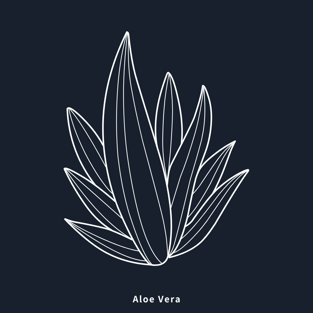 蘆薈純露/ Aloe Vera Hydrosol