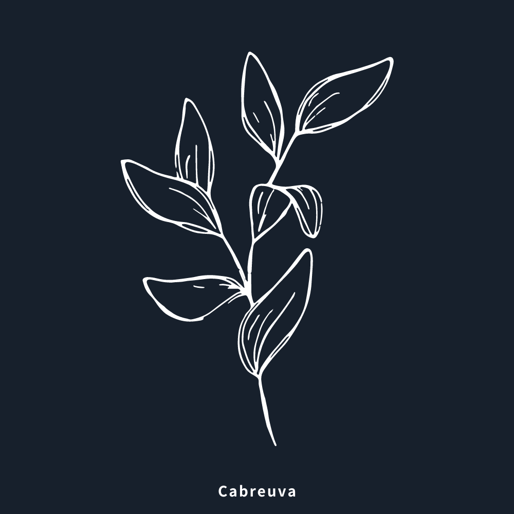 巴西檀木 | Cabreuva