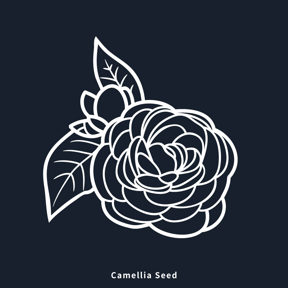 山茶花籽油(精製)/ Camellia Seed Oil(RBD)