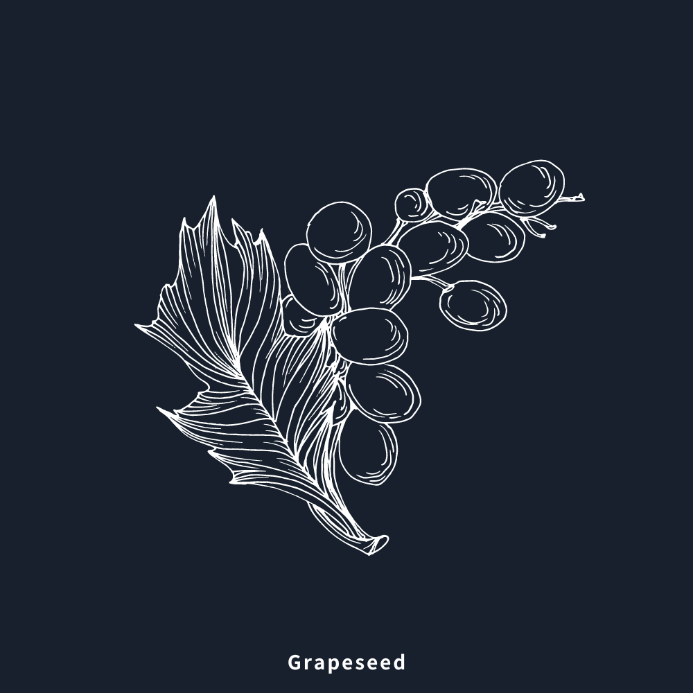 葡萄籽油 | Grapeseed Oil