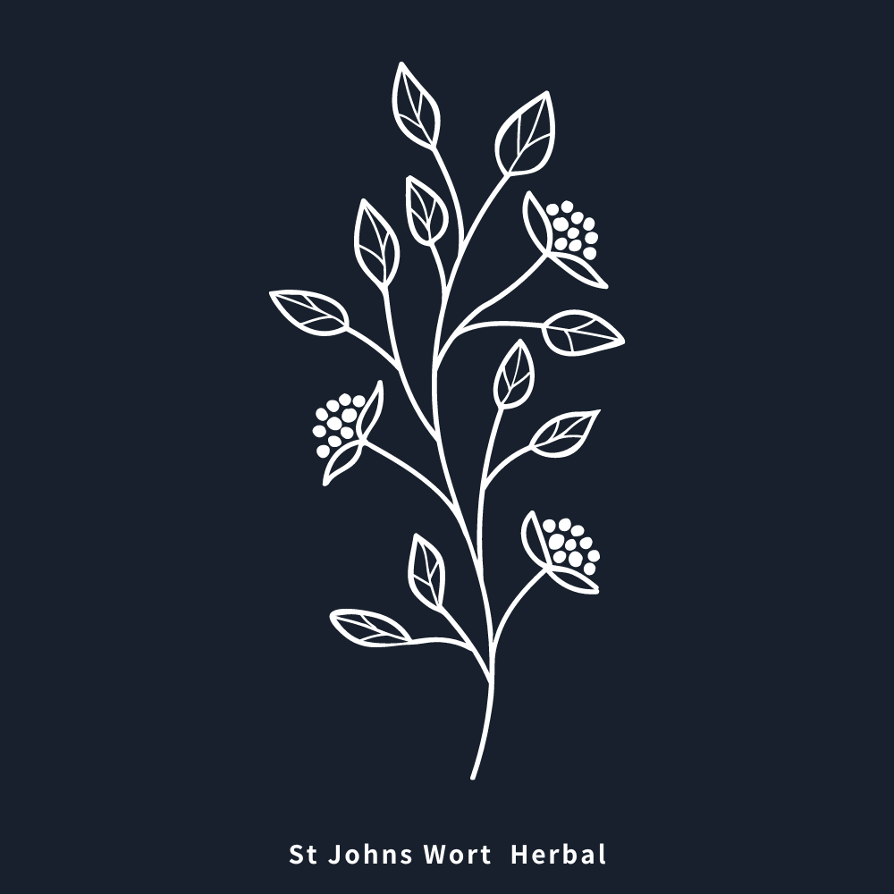 聖約翰草油 | St. Johns Wort Herbal Oil